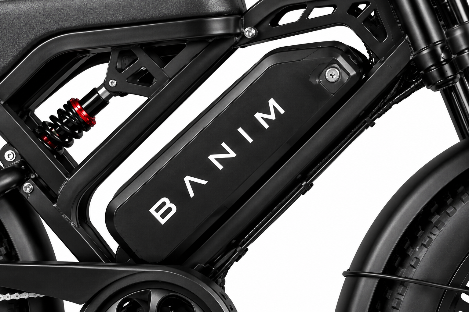 BANIM Rider V20 Pro —