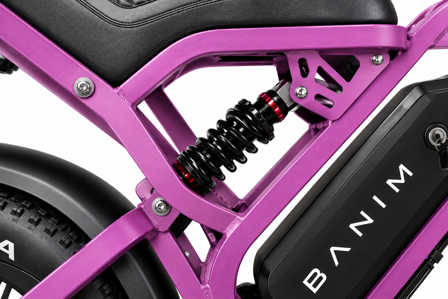 BANIM Rider V20 Mini —